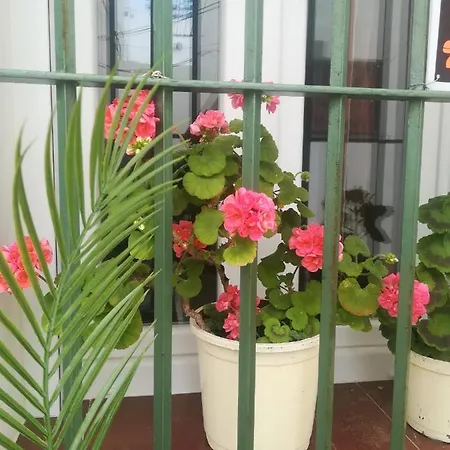 Apartamento Casa Pepa Conil De La Frontera